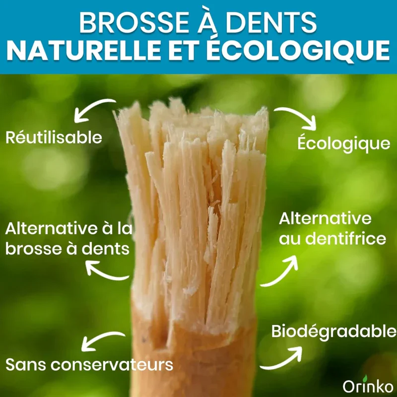 Bâtons de Siwak - Brosse à dents 100% naturelle  - lot de 4 - Image 11