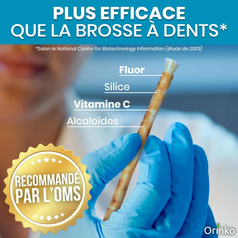 Bâtons de Siwak - Brosse à dents 100% naturelle  - lot de 4 - Image 12