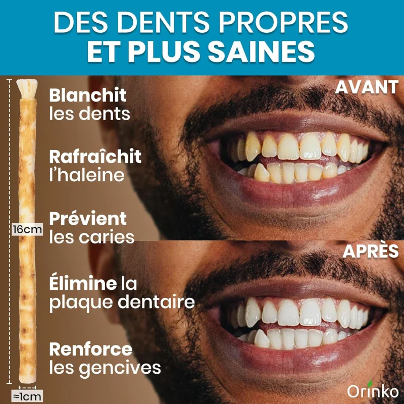 Bâtons de Siwak - Brosse à dents 100% naturelle  - lot de 4 - Image 15