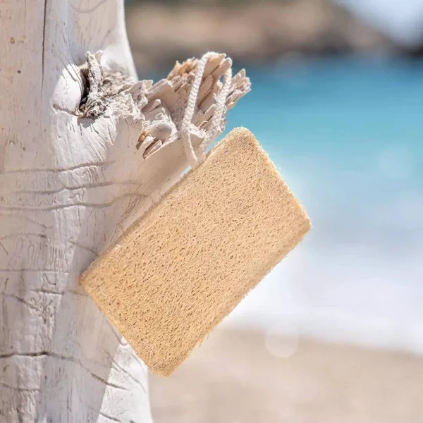 Éponge naturelle et biodégradable en luffa - Image 4